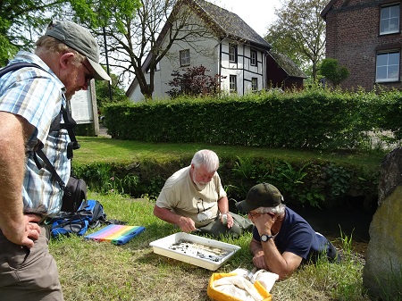 Inventariseren bij de Selzerbeek bij Oud Lemiers